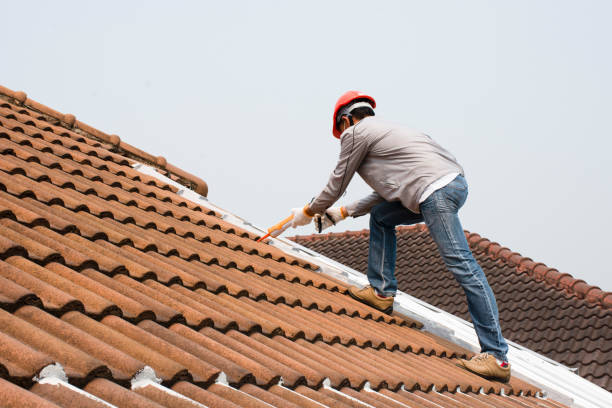Best Sheet Metal Roofing  in Sun Prairie, MT